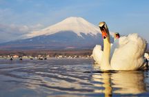 Mt.Fuji,Owakudani, Hakone Cruise & Ropeway, Oshino Hakkai 1-Day Trip
