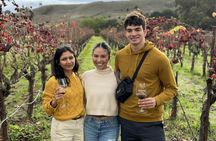 Redwoods and wine country escape from San Francisco