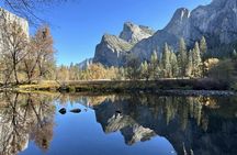 Total Yosemite experience with giant sequoias tour