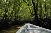 Langkawi UNESCO geopark mangrove half-day tour