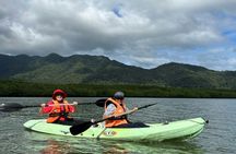 Langkawi mangrove river kayaking tour