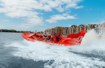 Thames Rockets Ultimate London Speedboat Experience