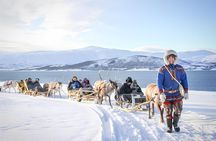 25-Minute Sleigh Ride with a Sami Culture Experience