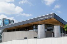 Rapperswil with Chocolate and Cheese Factories Tour from Zurich