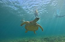 Jungle speedboat tours and snorkelling in Cancun
