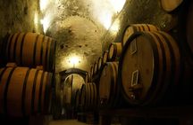 Wine Tasting and Guided Tour of Wine Cellar in Montepulciano