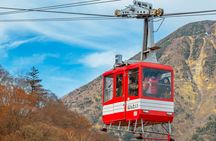 Nikko 1-Day Trip from Tokyo with Natural and World Heritage Sites