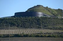 Bodega Viña Real Guided Tour with Wine and Cheese Tasting
