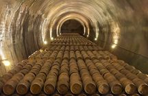 Bodega Viña Real Guided Tour with Wine and Cheese Tasting
