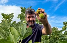 4-Hour Sustainable Farm Tour in South Heraklion