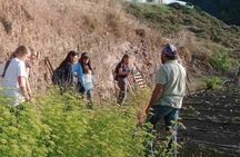 4-Hour Sustainable Farm Tour in South Heraklion