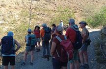 4-Hour Sustainable Farm Tour in South Heraklion