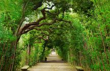 Pitti Palace and Boboli Garden Guided Tour