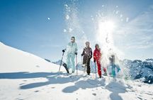 Swiss Ski experience from Lucerne
