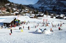 Swiss Ski experience from Lucerne