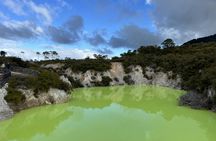 Wai-O-Tapu Geothermal Wonderland and Rotorua Day Tour from Auckland