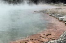 Wai-O-Tapu Geothermal Wonderland and Rotorua Day Tour from Auckland