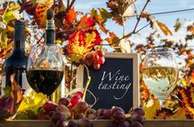 Cooking Class and Wine Tasting  in Chianti Farm