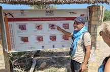 Day Trip from Agadir to Massa and Tiznit in 4x4 with Lunch