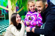 Museum of Living Butterflies in Krakow