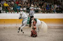 Andalusian horse flamenco show in Torremolinos