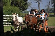 Gaucho Experience on the Don Silvano Ranch from Buenos Aires