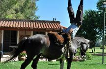 El Ombu Ranch in San Antonio de Areco guided tour