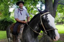 El Ombu Ranch in San Antonio de Areco guided tour