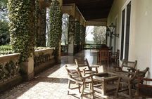El Ombu Ranch in San Antonio de Areco guided tour