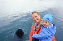 Whale watching tour in Árskógssandur