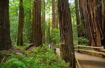Muir Woods National Monument: Self-Guided Walking and Driving Tour