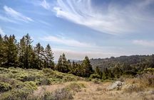 Muir Woods National Monument: Self-Guided Walking and Driving Tour