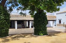 Half day trip to a winery from Seville