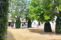 Half day trip to a winery from Seville