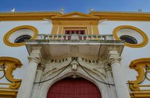 Private walking tour in Seville city center