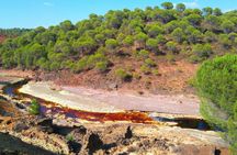 Aracena and Riotinto mines day tour from Seville