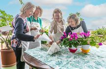 Small-Group Pasta and Tiramisu Class in Messina