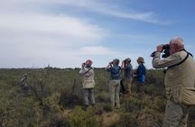 Full-day Excursion to Peninsula Valdes from Puerto Madryn