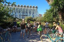 2-Hour Valencia Bike Tour to City of Arts and Sciences