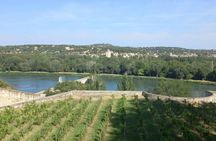 Tour of Avignon, St Remy, Les Baux et Pont du Gard from Avignon