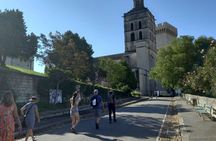 Tour of Avignon, St Remy, Les Baux et Pont du Gard from Avignon