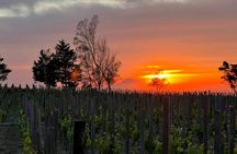 Sunset Experience on Lipari Island with Vineyard Picnic