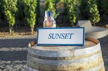 Sunset Experience on Lipari Island with Vineyard Picnic