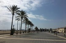 3-Hour Valencia Complete Bike Tour with Port and Beach