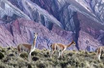 Quebrada de Humahuaca Full-day Tour from Salta