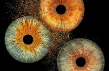 Personalized Eye Iris Photography Print with Delivery
