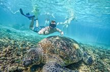 Koh Nangyuan and Hidden Bays Snorkeling Tour with Lunch from Kho Tao
