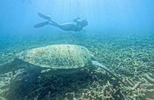 Koh Nangyuan and Hidden Bays Snorkeling Tour with Lunch from Kho Tao