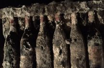 Bodega Viña Real Guided Tour with Wine and Cheese Tasting