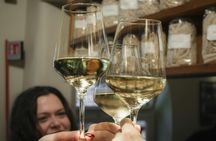 Turin aperitivo and street food tour